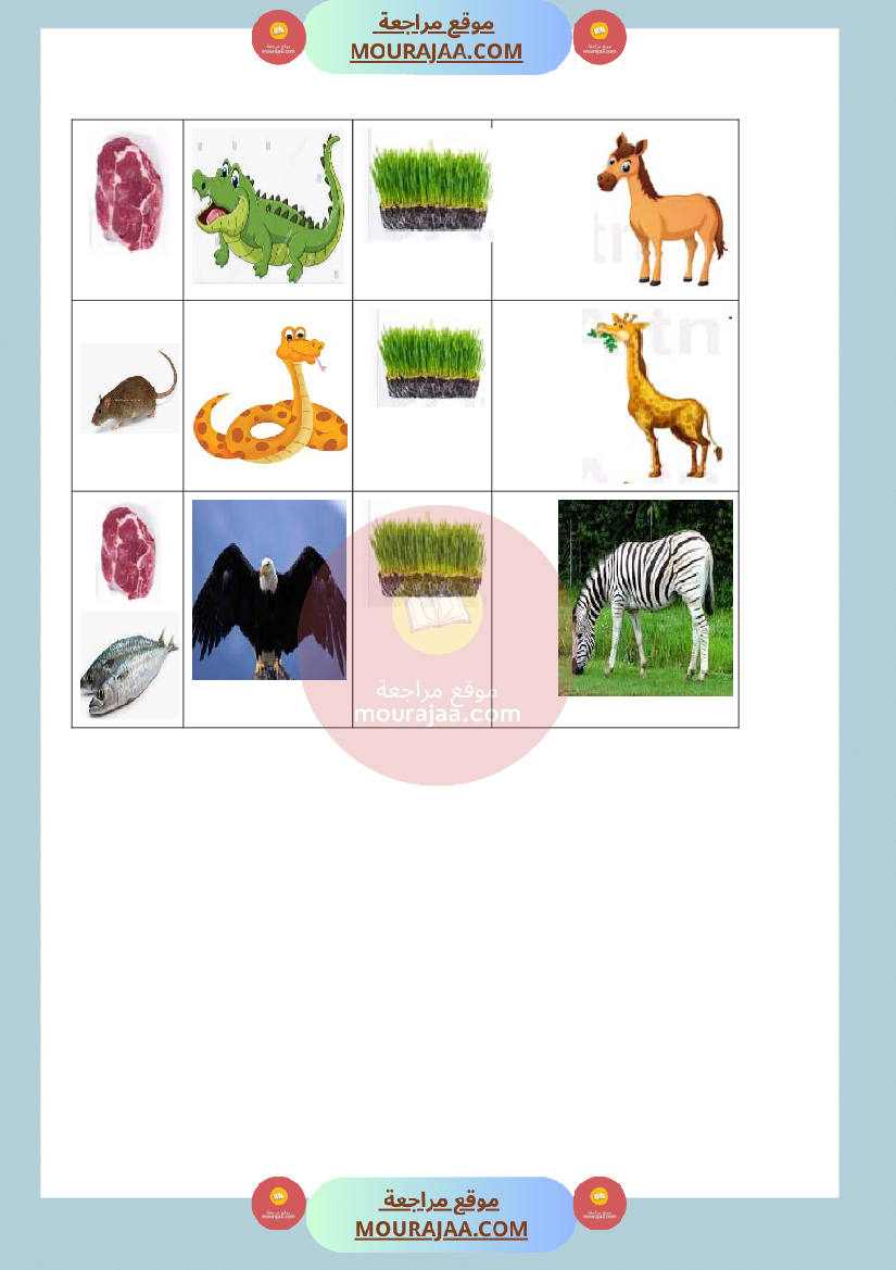 ملف التغذية عند الحيوان و الانسان