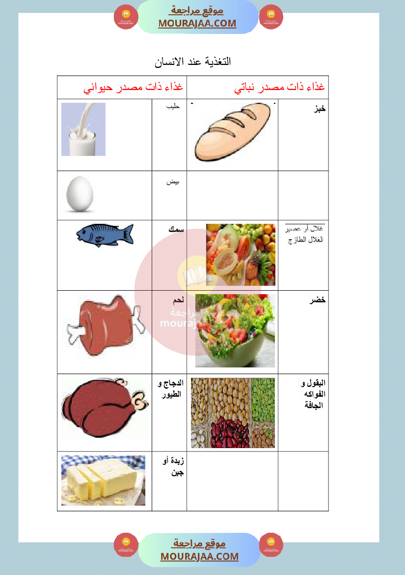 ملف التغذية عند الحيوان و الانسان