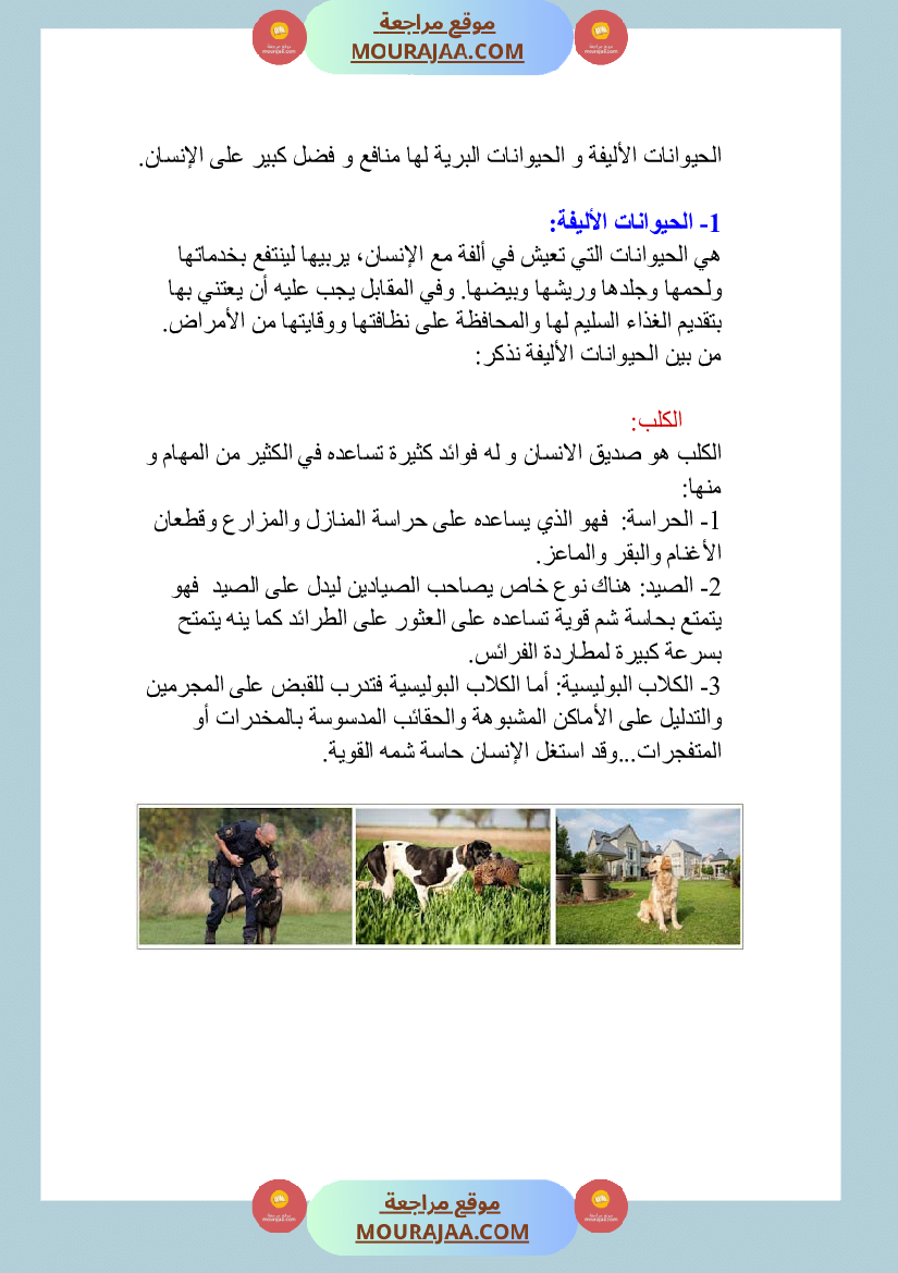 الحيوانات الاليفة و البرية منافعها و مضارها