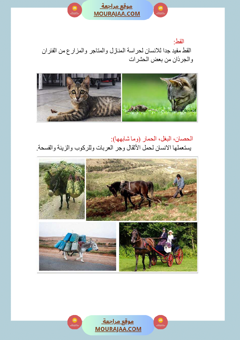 الحيوانات الاليفة و البرية منافعها و مضارها