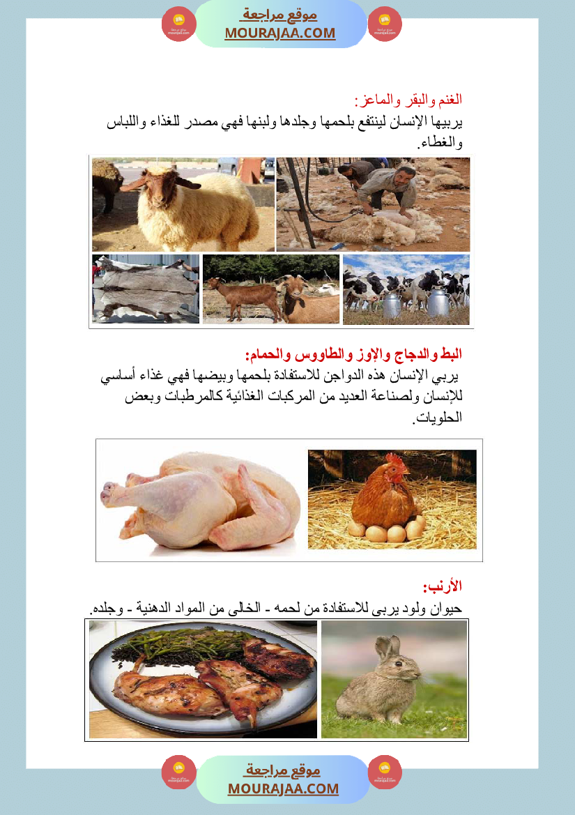 الحيوانات الاليفة و البرية منافعها و مضارها