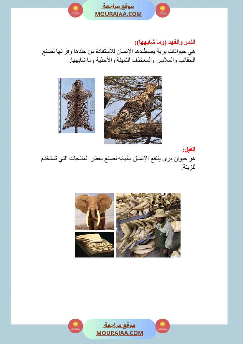 الحيوانات الاليفة و البرية منافعها و مضارها