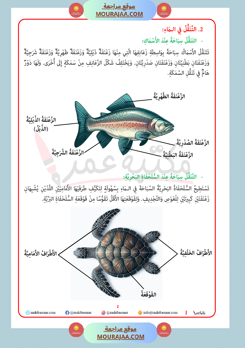 انماط التنقل عند الحيوان سنة الرابعة