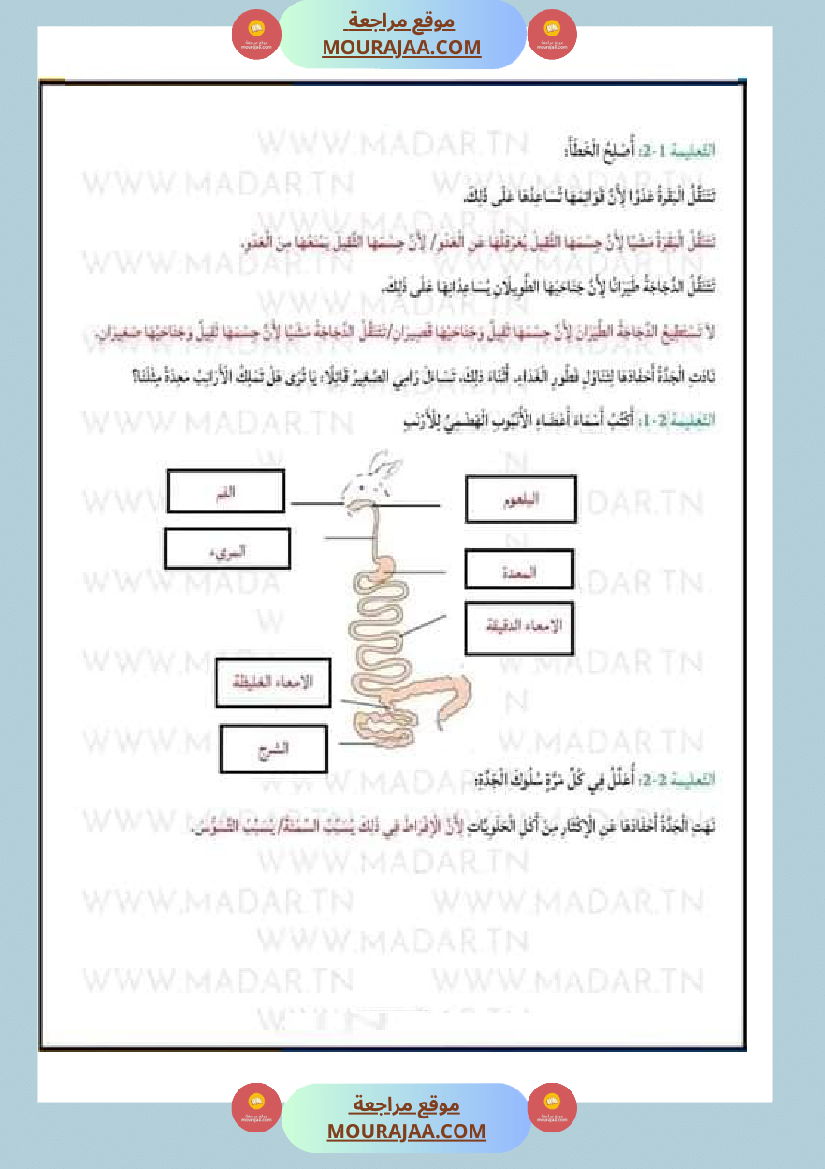 امتحان ايقاظ علمي مع الاصلاح سنة الرابعة الثلاثي الثاني
