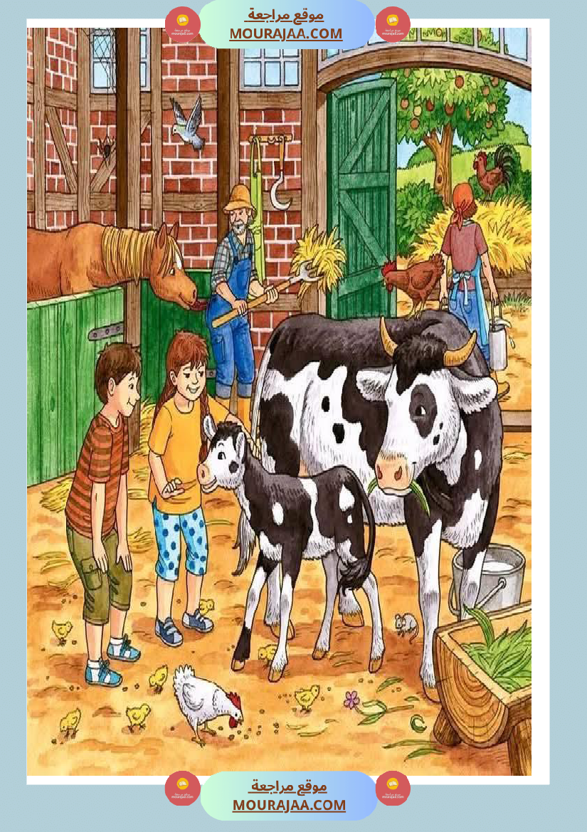 5eme unite mes amis les animaux des supports visuels