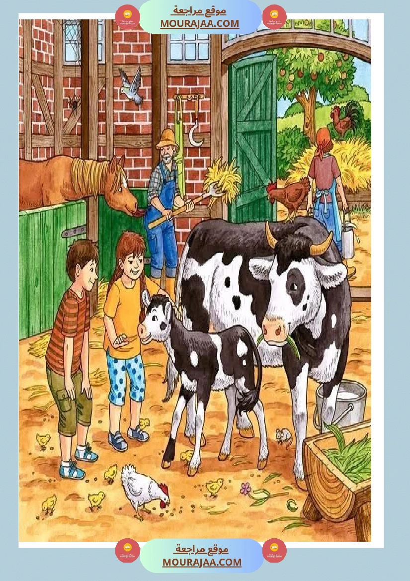 5eme unite mes amis les animaux des supports visuels