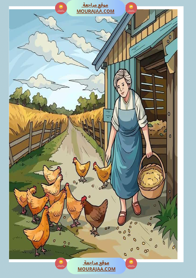 5eme unite mes amis les animaux des supports visuels