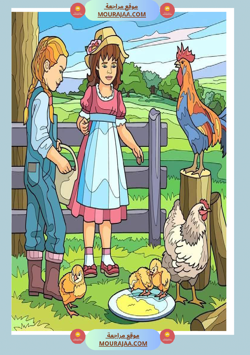 5eme unite mes amis les animaux des supports visuels