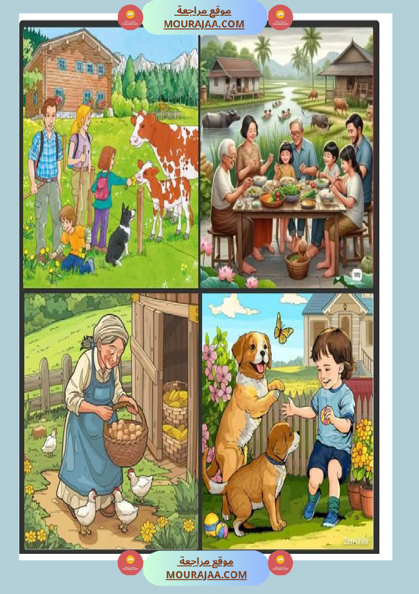 5eme unite mes amis les animaux des supports visuels