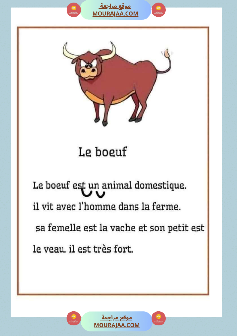 module 5 production ecrite la description dun animal 5eme