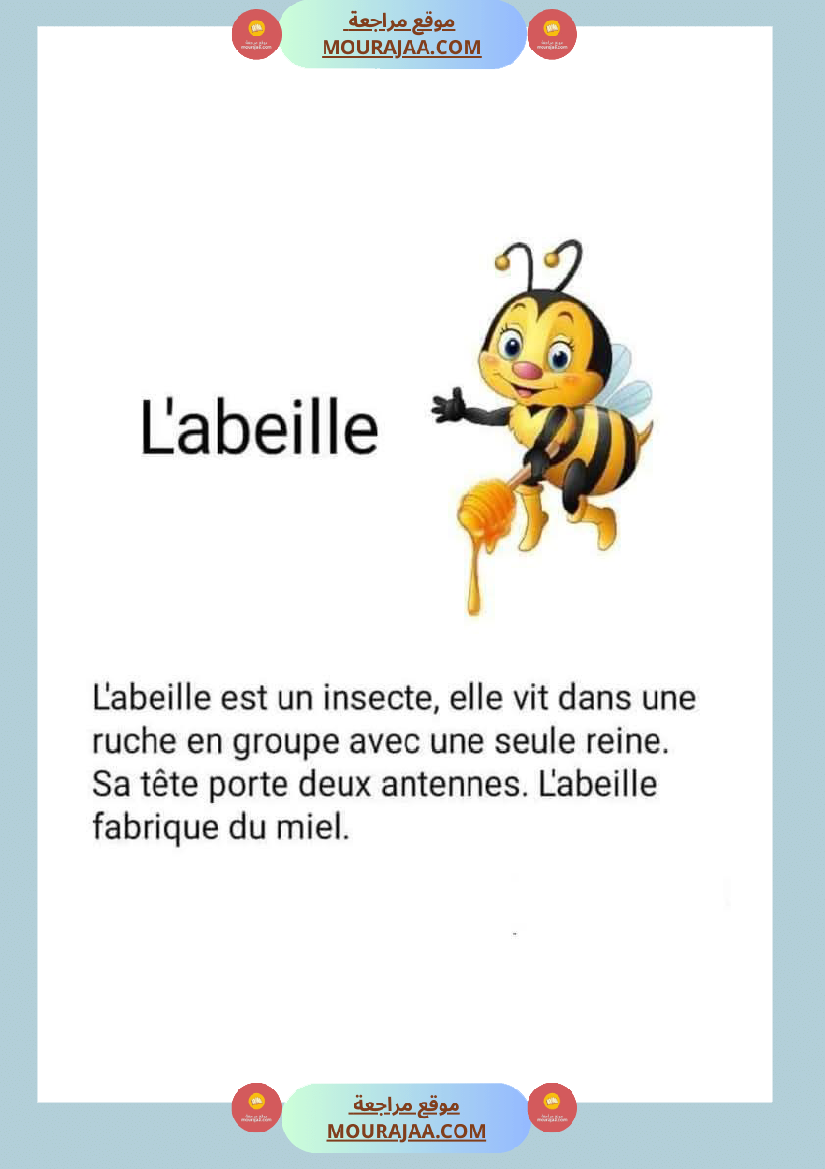module 5 production ecrite la description dun animal 5eme