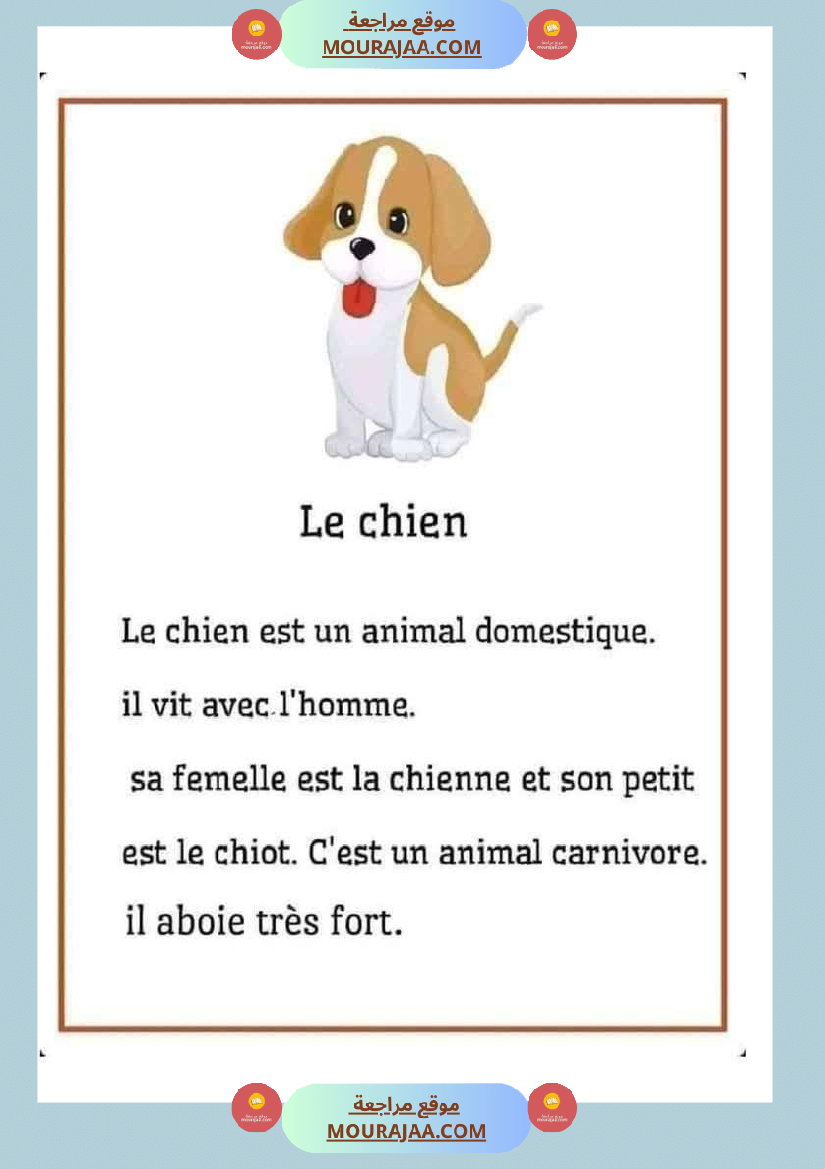 module 5 production ecrite la description dun animal 5eme