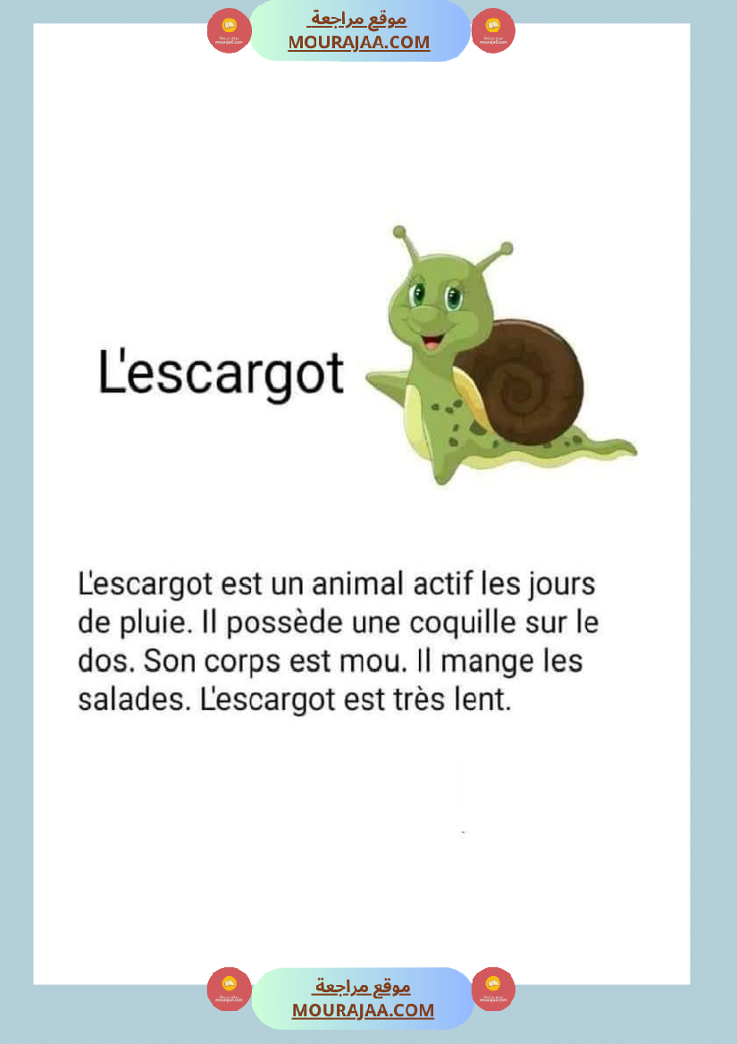 module 5 production ecrite la description dun animal 5eme