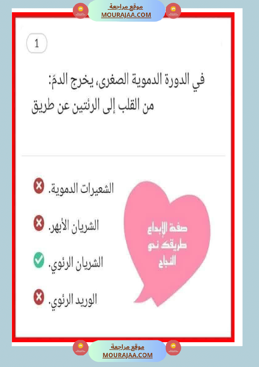 الدورة الدموية الصغرى والدورة الدموية الكبرى والدارة الكهربائية للسنة الخامسة