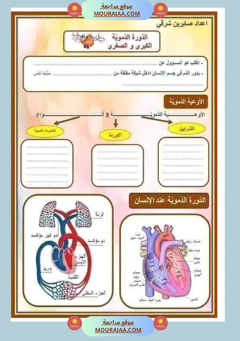 الدورة الدموية الصغرى والدورة الدموية الكبرى والدارة الكهربائية للسنة الخامسة