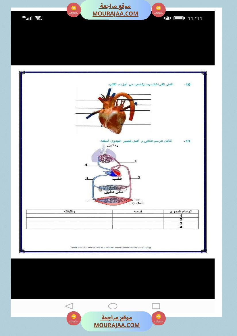 الدورة الدموية الصغرى والدورة الدموية الكبرى والدارة الكهربائية للسنة الخامسة