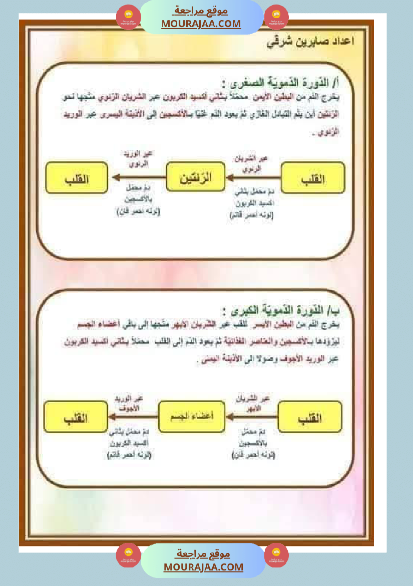 الدورة الدموية الصغرى والدورة الدموية الكبرى والدارة الكهربائية للسنة الخامسة