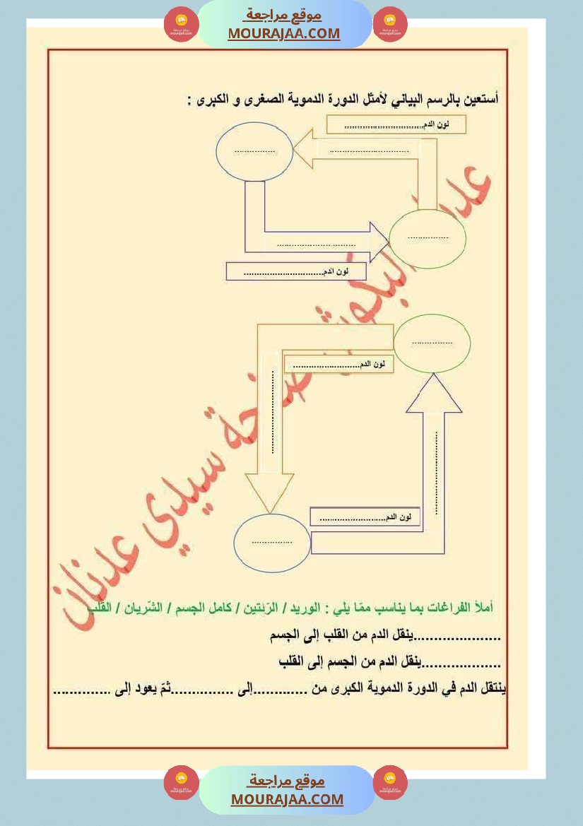 الدورة الدموية الصغرى والدورة الدموية الكبرى والدارة الكهربائية للسنة الخامسة