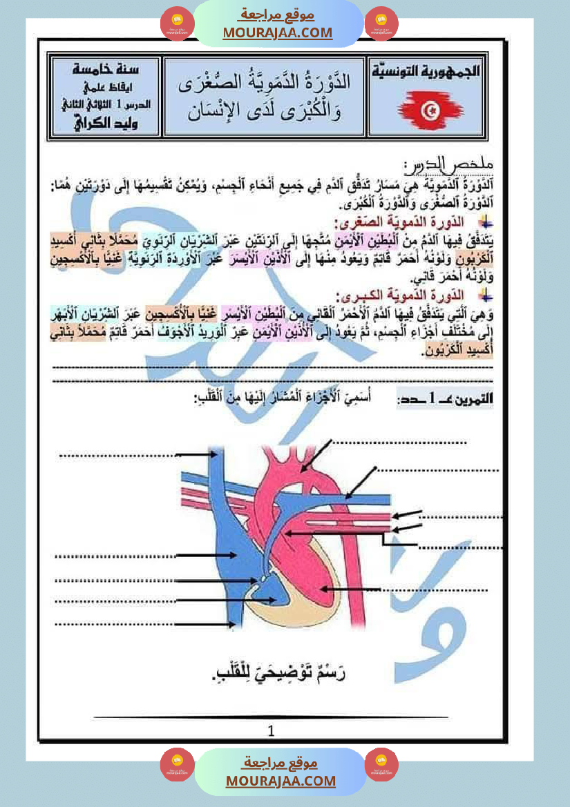 الدورة الدموية الصغرى والدورة الدموية الكبرى والدارة الكهربائية للسنة الخامسة
