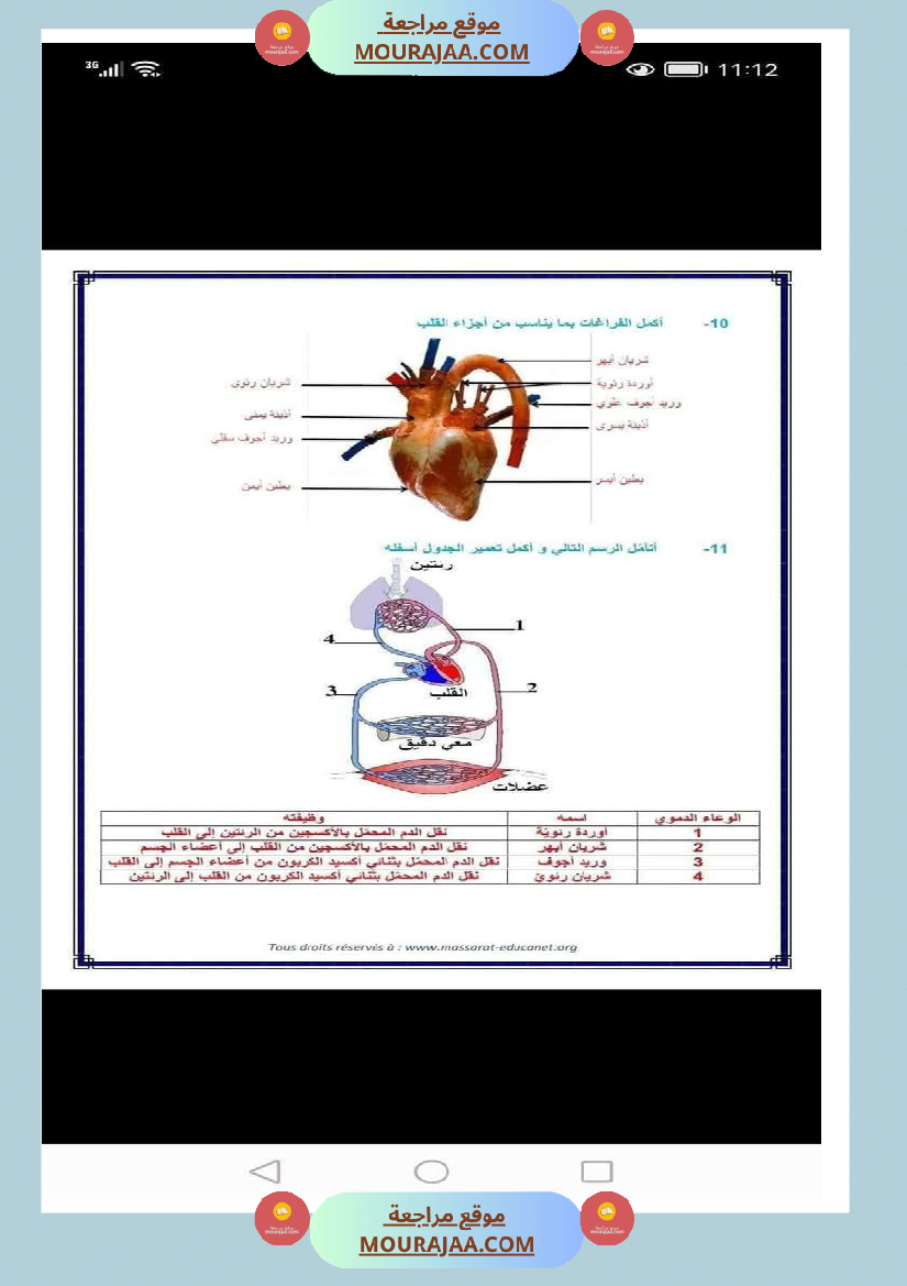 الدورة الدموية الصغرى والدورة الدموية الكبرى والدارة الكهربائية للسنة الخامسة