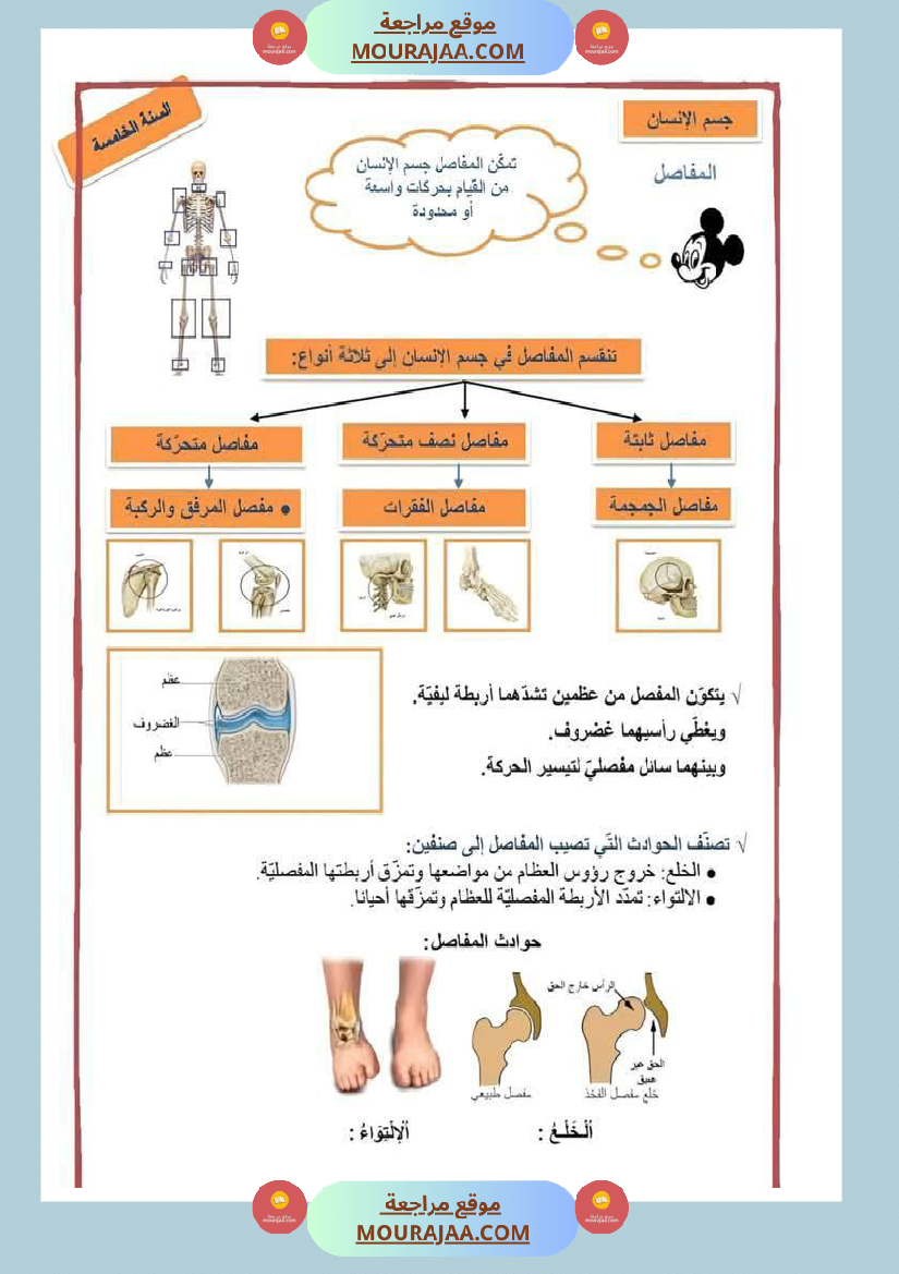 تلخيص الايقاظ العلمي سنة خامسة