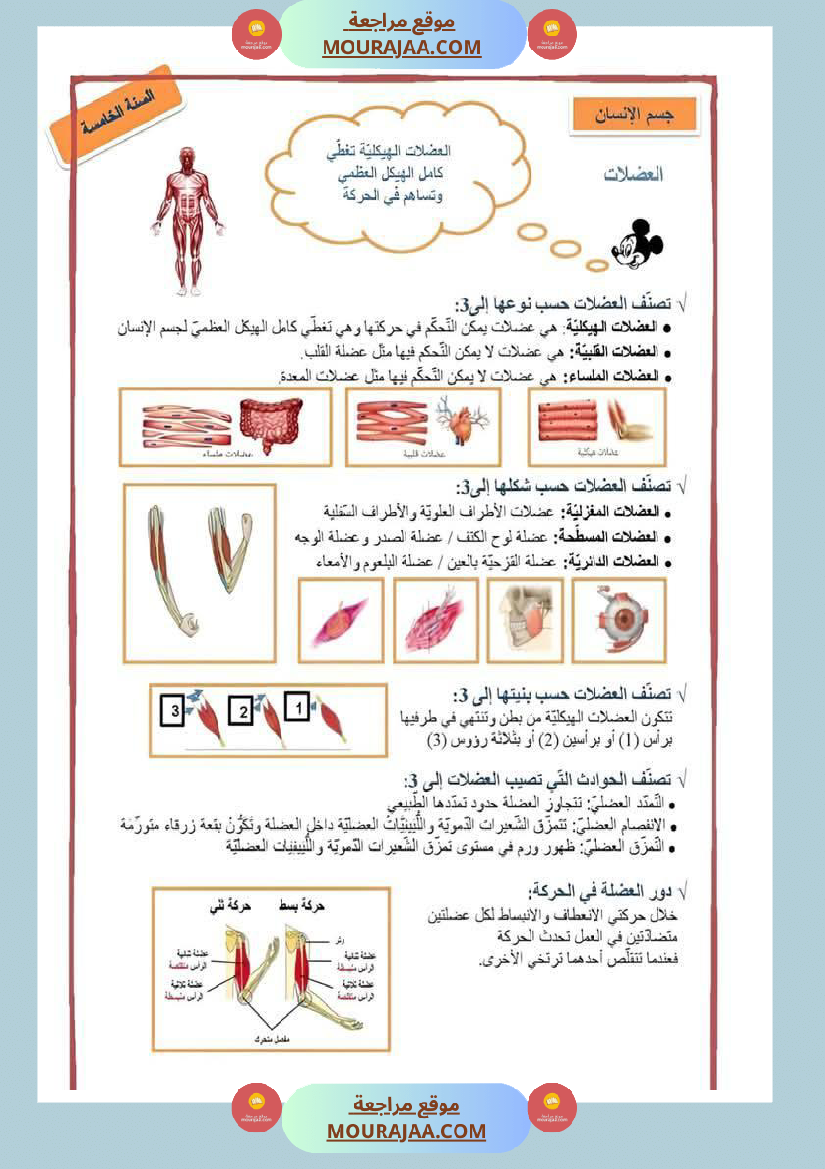 تلخيص الايقاظ العلمي سنة خامسة