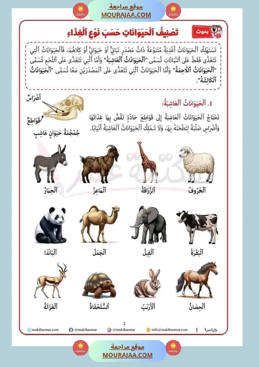 تصنيف الحيوانات حسب غذائها سنة الثانية