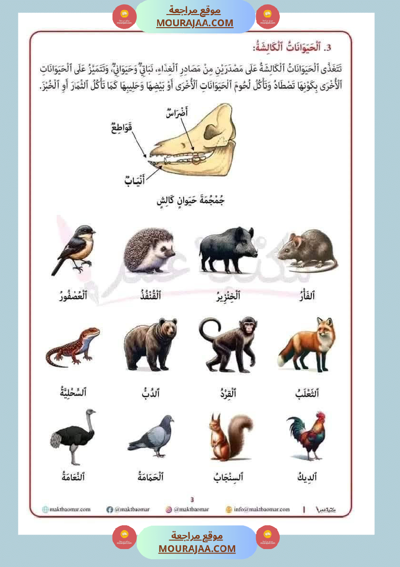 تصنيف الحيوانات حسب غذائها سنة الثانية