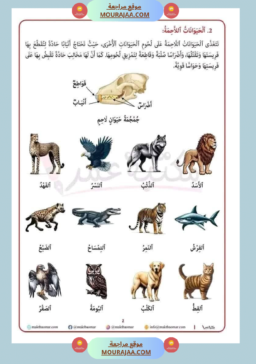 تصنيف الحيوانات حسب غذائها سنة الثانية
