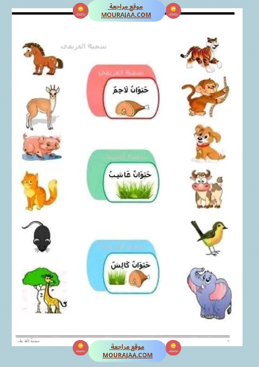 ايقاظ_علمي_لأبطال_السنة_الاولى