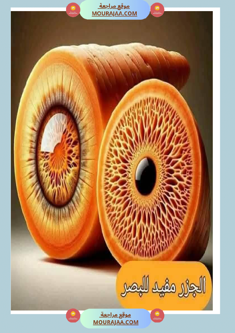 اهم الاطعمة المفيدة لأ عضاء الجسم في شكل مميز جدا