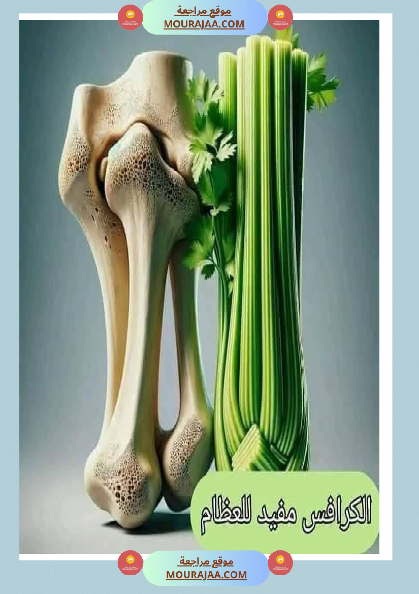 اهم الاطعمة المفيدة لأ عضاء الجسم في شكل مميز جدا