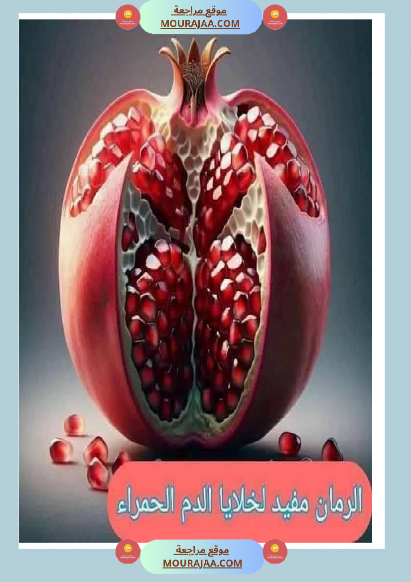 اهم الاطعمة المفيدة لأ عضاء الجسم في شكل مميز جدا