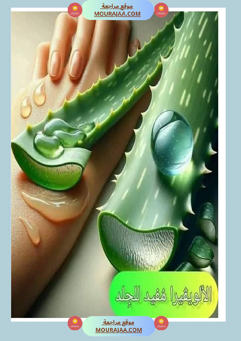 اهم الاطعمة المفيدة لأ عضاء الجسم في شكل مميز جدا