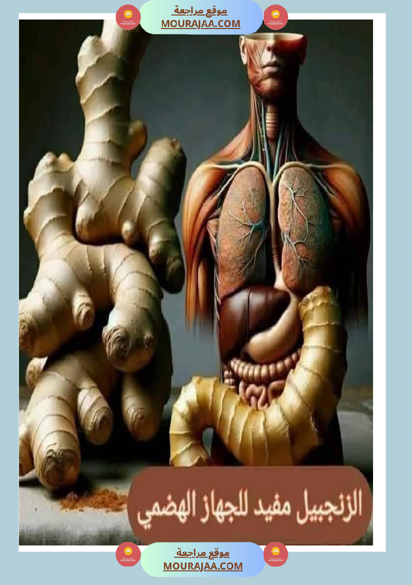 اهم الاطعمة المفيدة لأ عضاء الجسم في شكل مميز جدا