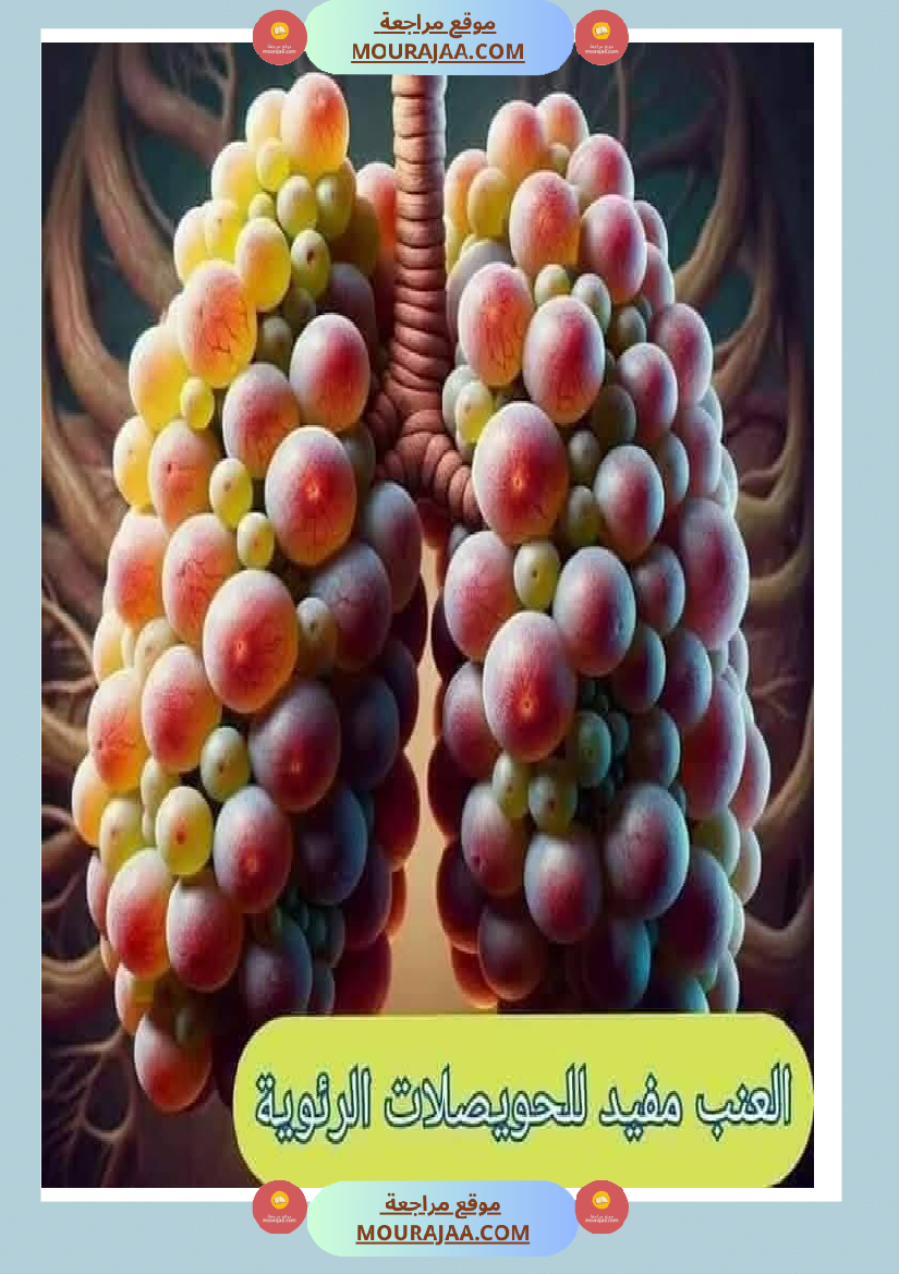 اهم الاطعمة المفيدة لأ عضاء الجسم في شكل مميز جدا