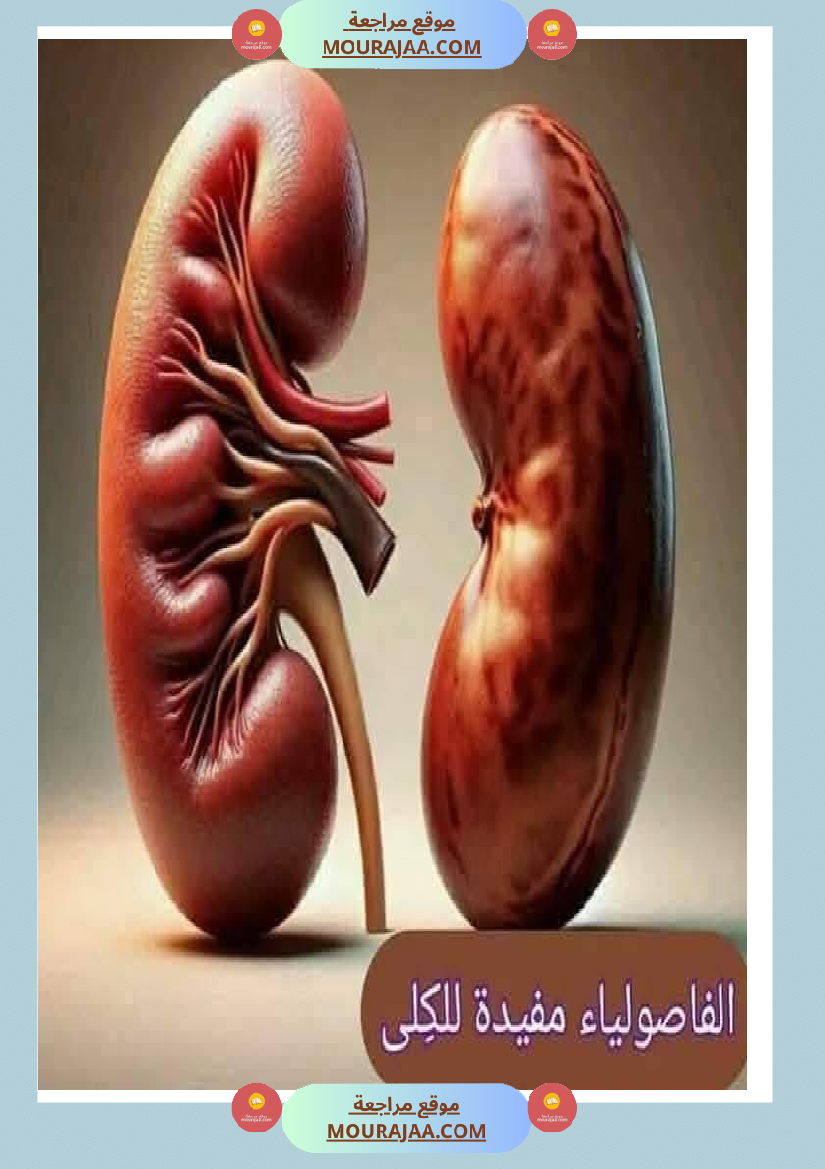 اهم الاطعمة المفيدة لأ عضاء الجسم في شكل مميز جدا