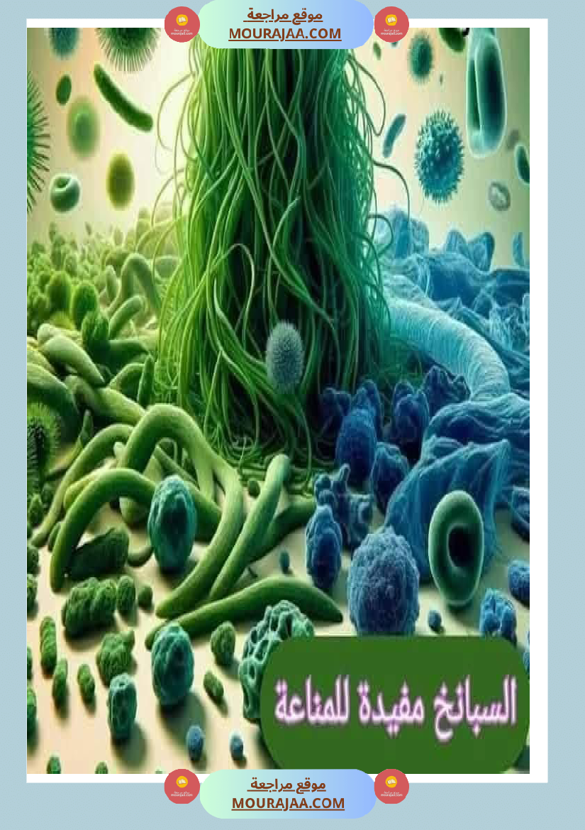 اهم الاطعمة المفيدة لأ عضاء الجسم في شكل مميز جدا