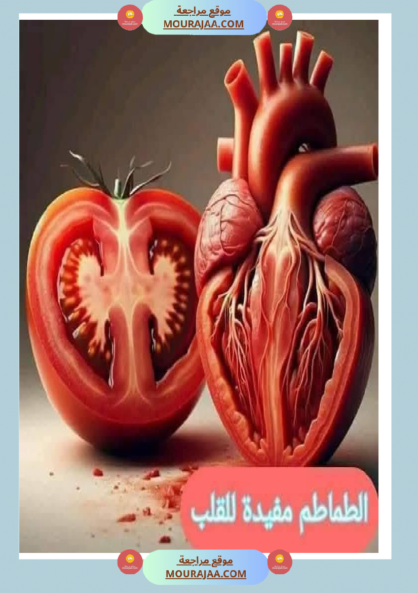 اهم الاطعمة المفيدة لأ عضاء الجسم في شكل مميز جدا