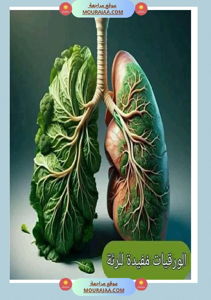 اهم الاطعمة المفيدة لأ عضاء الجسم في شكل مميز جدا