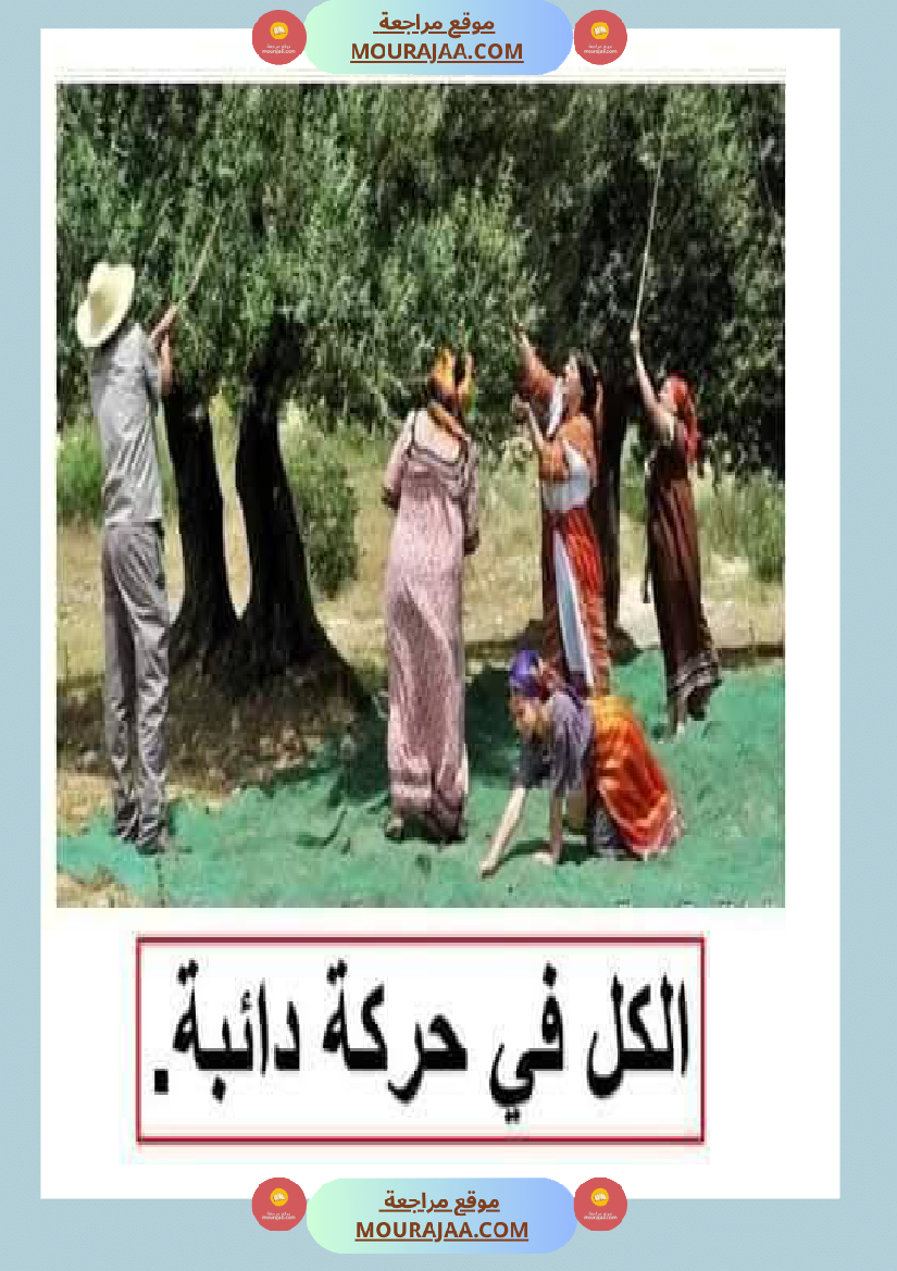 إنتاح كتابي حول جني الزيتون سنة الرابعة