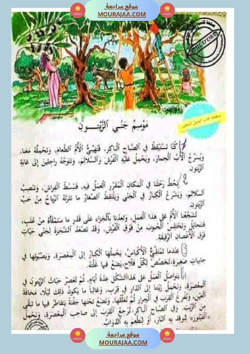 إنتاح كتابي حول جني الزيتون سنة الرابعة