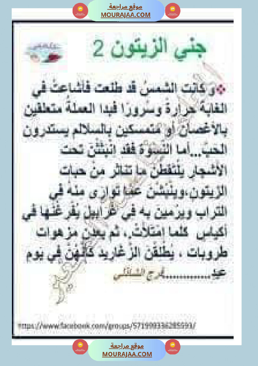 إنتاح كتابي حول جني الزيتون سنة الرابعة