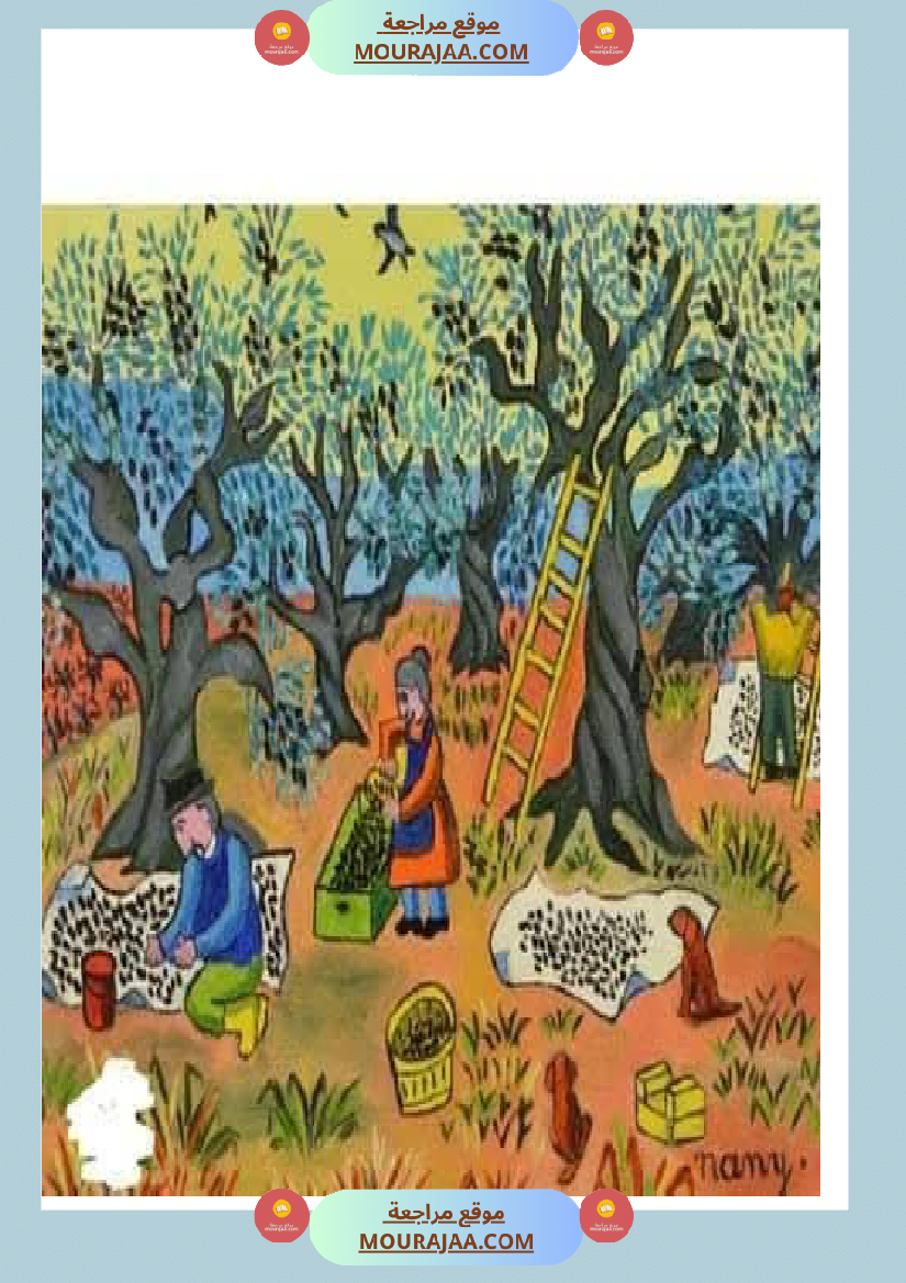 إنتاح كتابي حول جني الزيتون سنة الرابعة