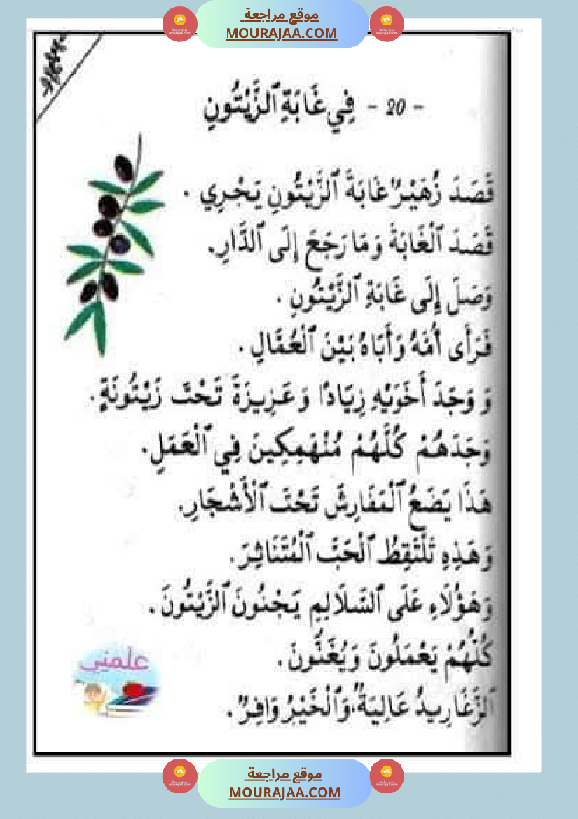 إنتاح كتابي حول جني الزيتون سنة الرابعة