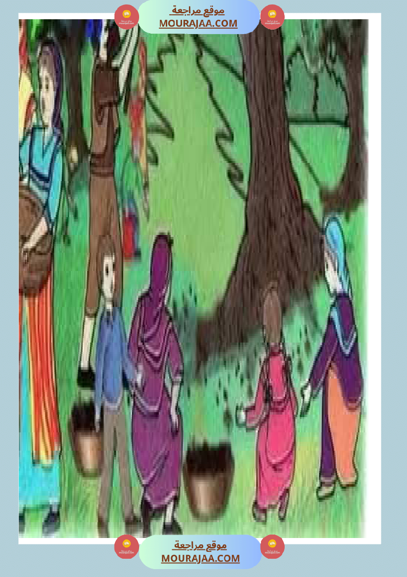 إنتاح كتابي حول جني الزيتون سنة الرابعة