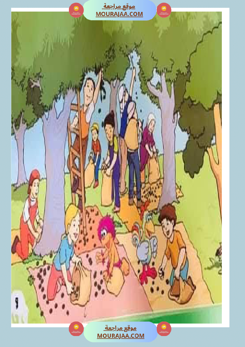 إنتاح كتابي حول جني الزيتون سنة الرابعة