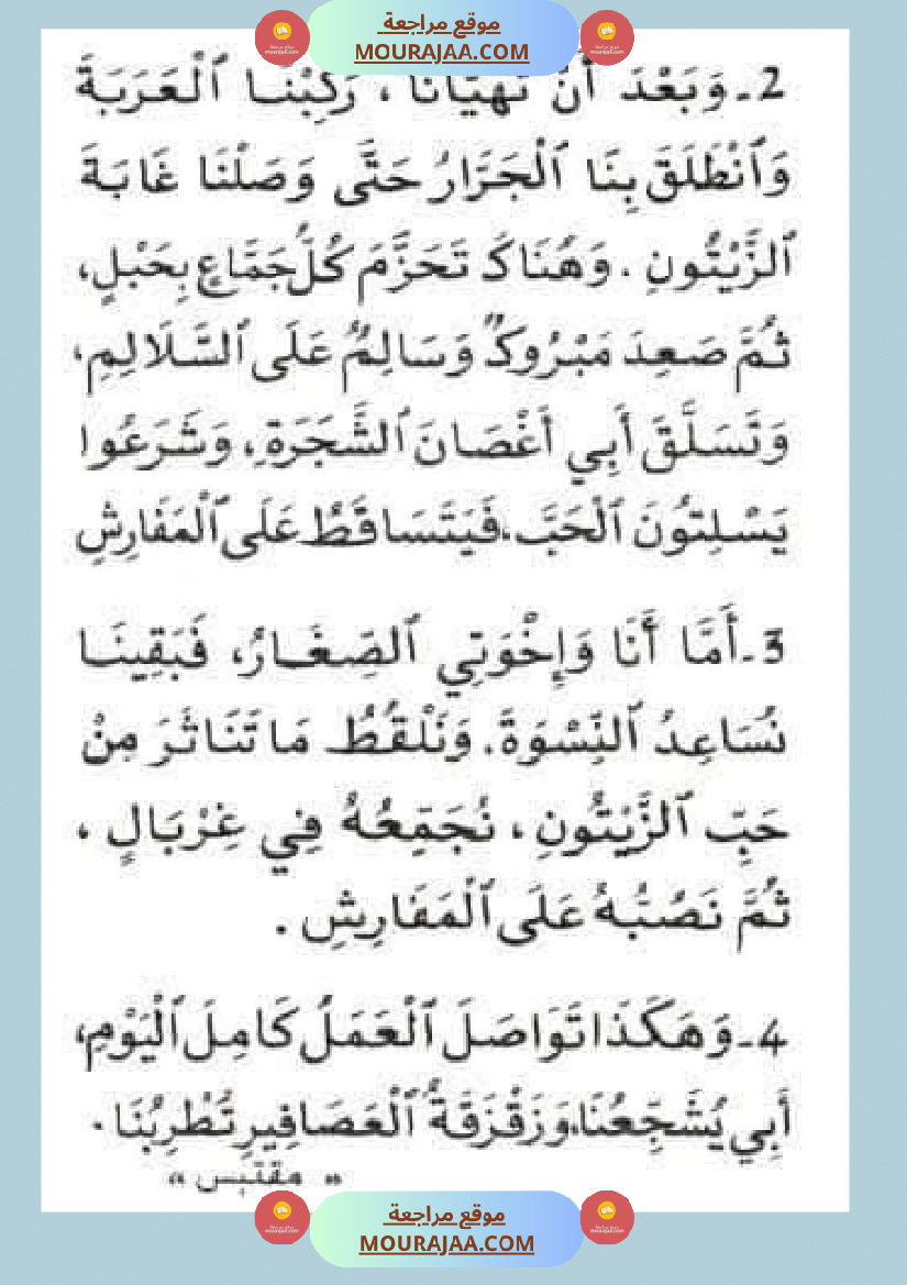 إنتاح كتابي حول جني الزيتون سنة الرابعة