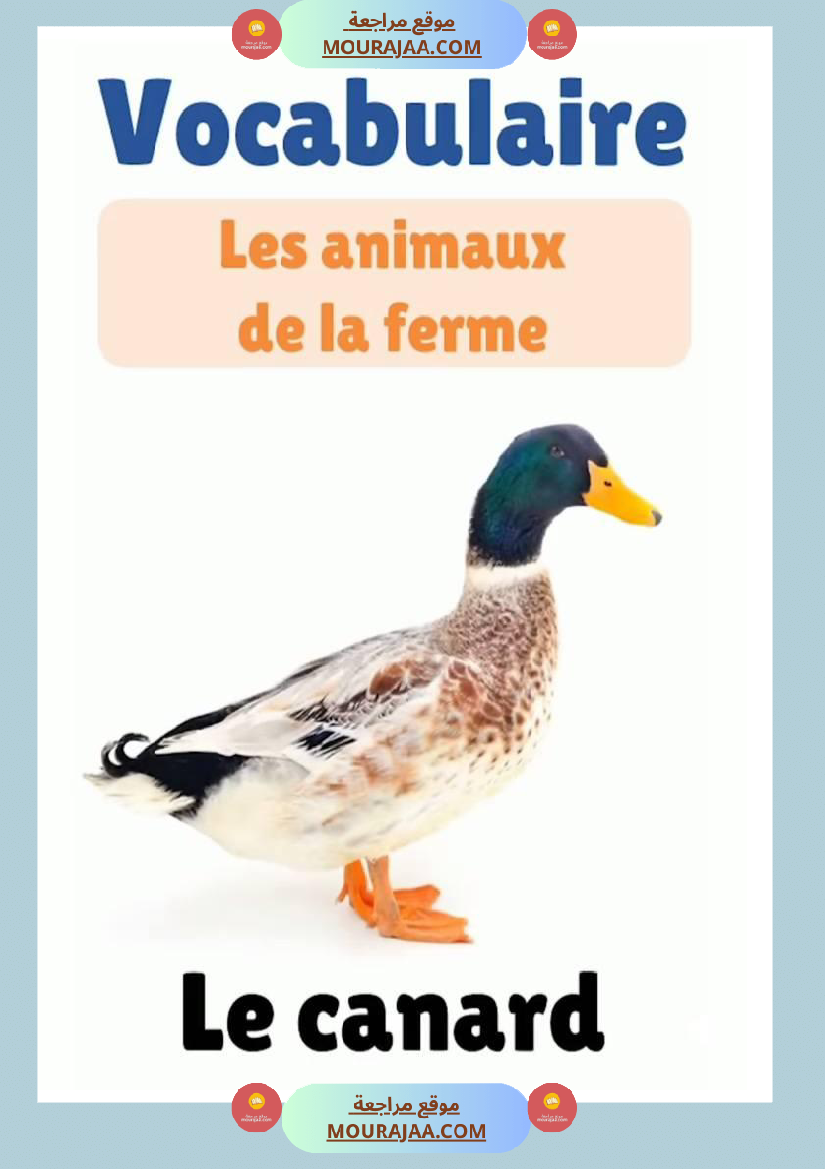 des animaux j apprends le francais 4eme