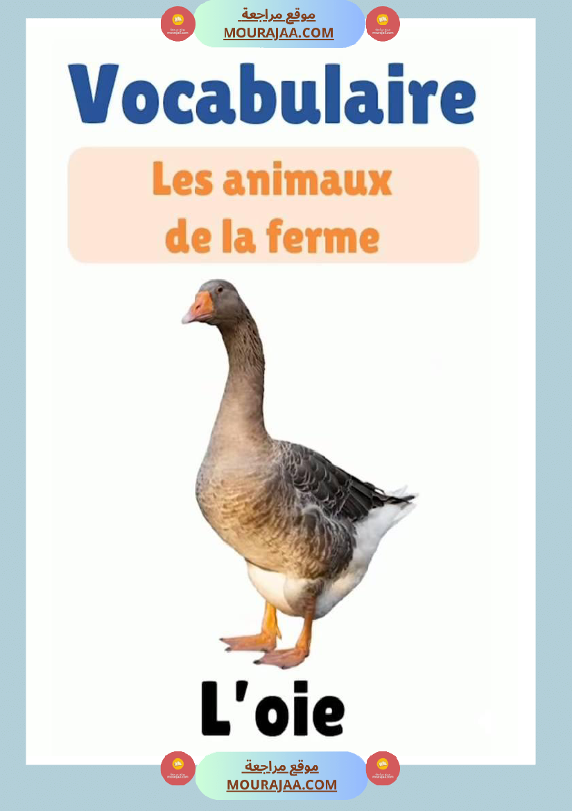 des animaux j apprends le francais 4eme